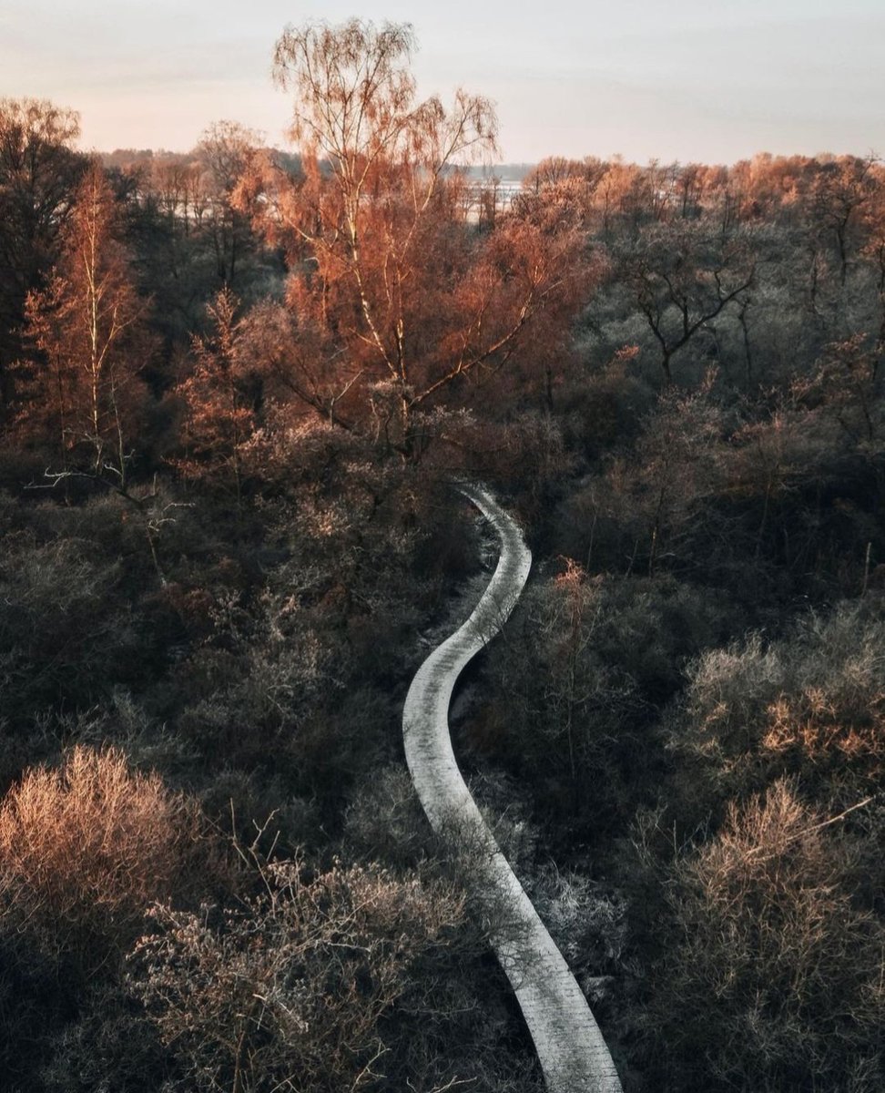 VanGoghNP's tweet photo. De bruggenroute in Moerputten is sprookjesachtig mooi. Martijn van Ingen bezocht deze wandelroute met een drone en maakte deze bijzondere foto's. Precies dit soort locaties aan de rand van de stad maakt #VanGoghNP zo bijzonder.
@shertogenbosch @staatsbosbeheer https://t.co/qbdfKWl4DQ
