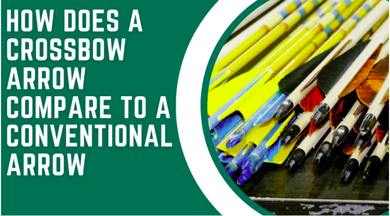 huntingarray's tweet photo. Comparing The Differences: A Crossbow Arrow Vs. A Conventional Arrow
Technological advances have allowed for the development of new and exciting forms of arrows,
Read More For Details: https://t.co/kiTt4nuiGC
#hunting #huntingbow #crossbow #Arrow #huntingday https://t.co/vxEKOlumGe