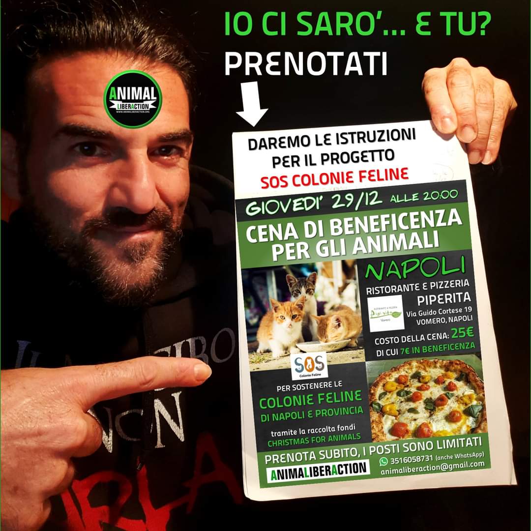 AnimaLiberActio's tweet image. Giovedì 29 dicembre presenteremo il progetto SOS COLONIE FELINE anche a Napoli e conosceremo i volontari e le volontarie della zona. 
Ci vediamo alle 20:00 al #Piperita in via Guido Cortese 19, Napoli.
Prenotare al n. 3516058731.
#AnimaLiberAction
#SosColonieFeline