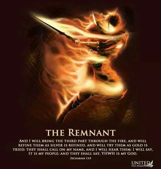 Psyche🦋Aurora tweet media