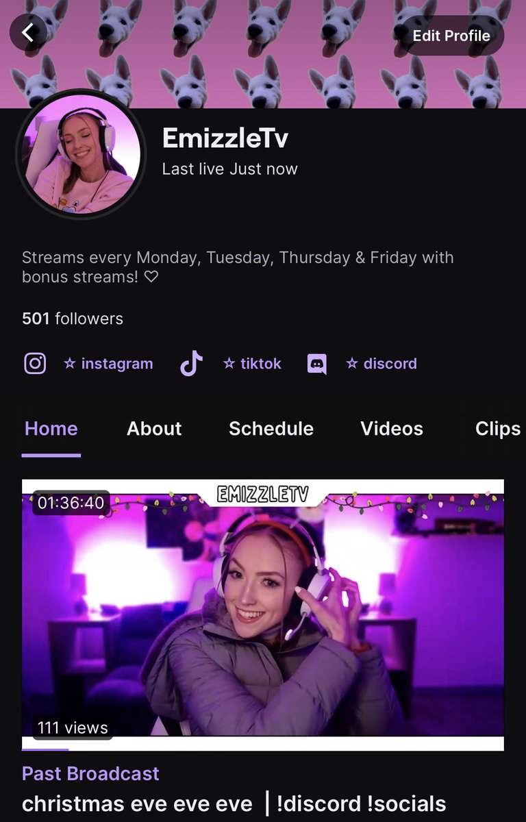 EmizzleTv's tweet photo. 💜 the big five hundred on twitch 💜
i appreciate all of you more than you know! thank you so much for making the last half of 2022 something i never expected 🥺🫶🏻 https://t.co/7no34WFaAN