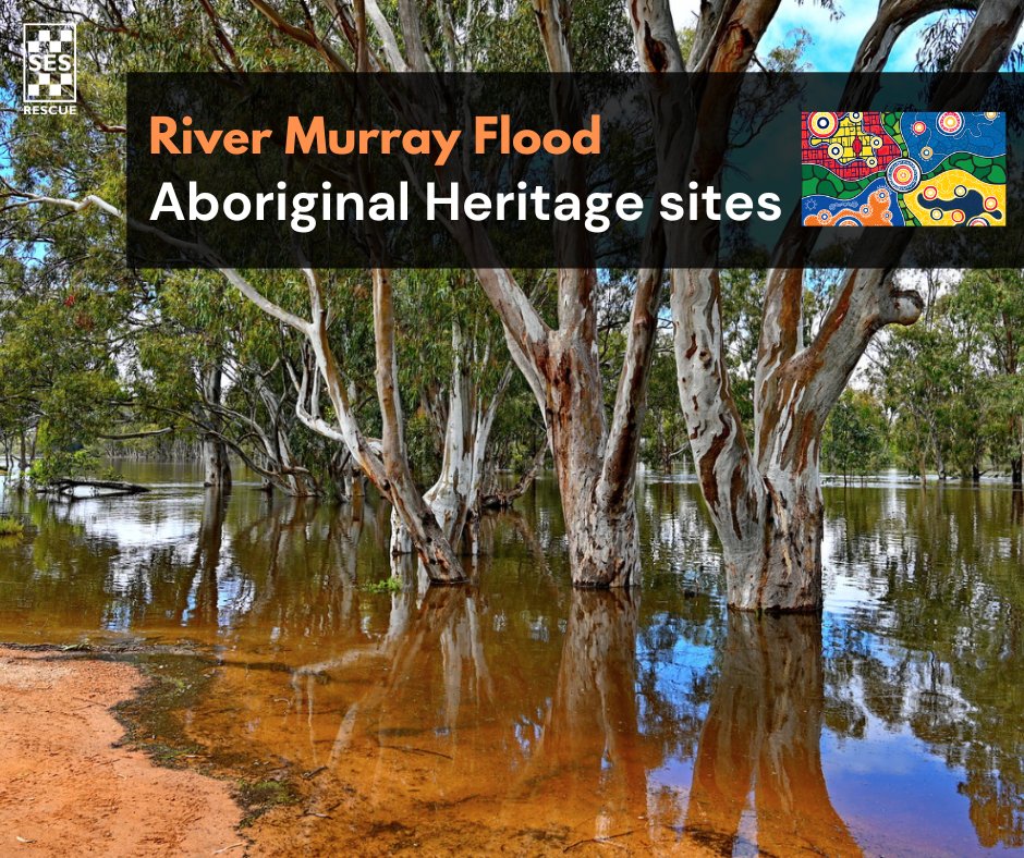 During River Murray floods, if you see human remains, scarred (canoe) trees or other suspected artifacts, do not touch, contact SAPOL on 131 444, and Aboriginal Affairs and Reconciliation via email AAR.conservation@sa.gov.au or by phone 8303 0744.
