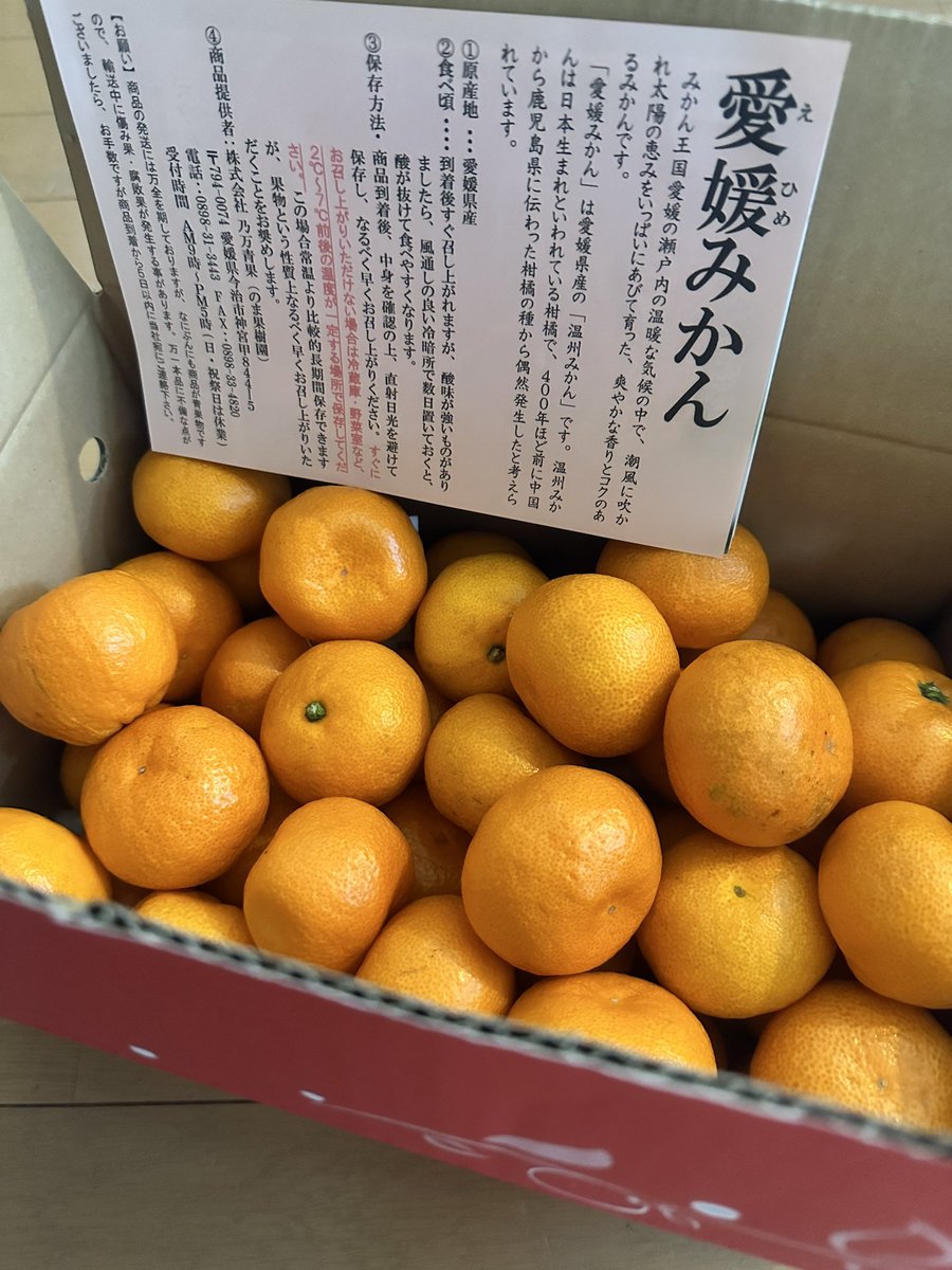 超人気新品 青果王国コレクション柑橘婦人マスコットチャーム 5個セット