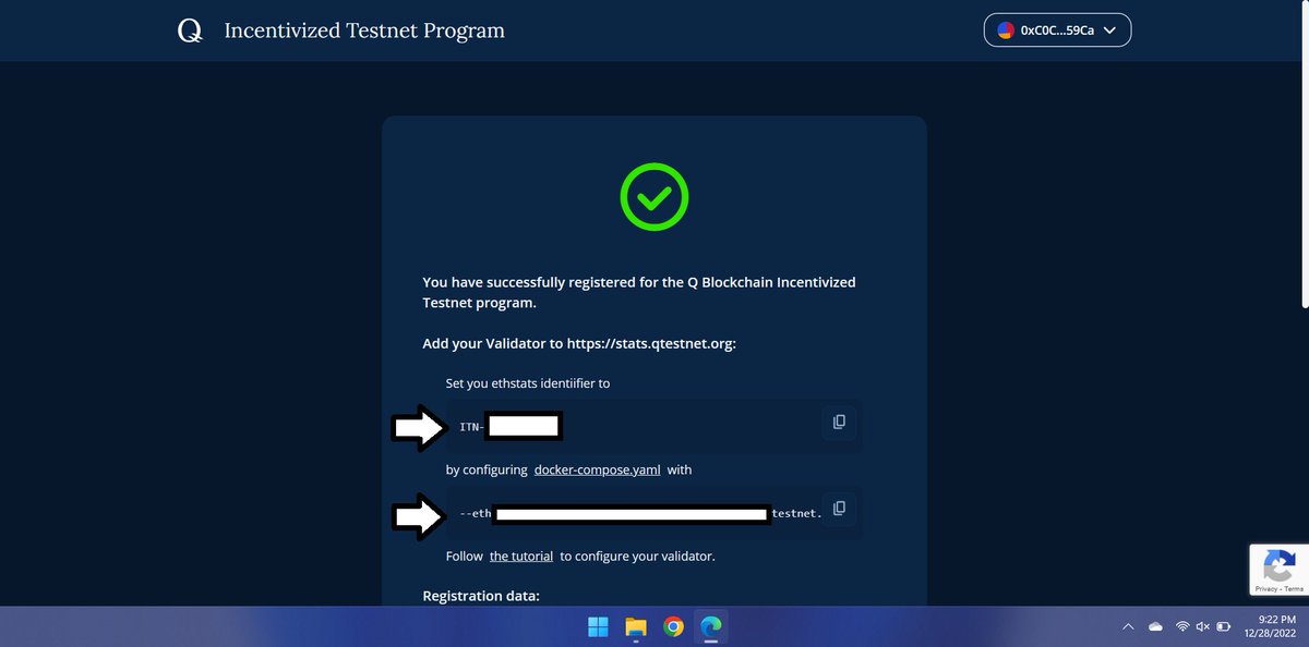How to register for the @QBlockchain Incentivized Testnet Program ...