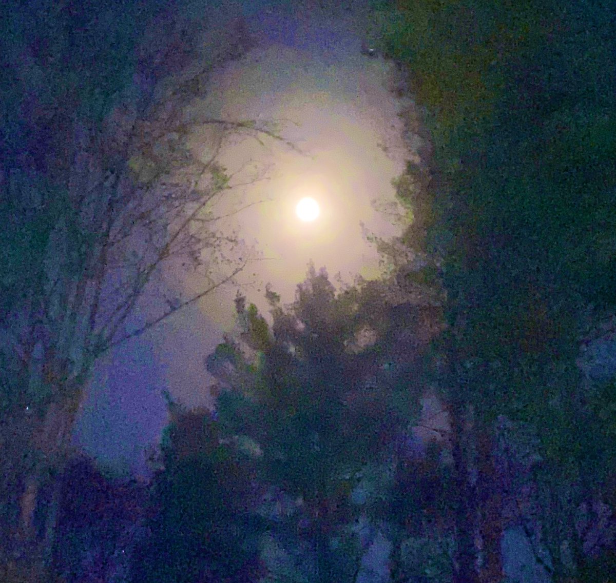 Tonight’s #Moon . #outdoors #moonlight #stars #nightsky #night #nighttime #FullMoon #brightmoon #moonbeam #brightsky #nc #mountains #nightskies #skywatcher #moonandstars #nightwalks #adventuresoutdoors #moonwatch #moonenergy #outdooradventures #stargazing #starrynight