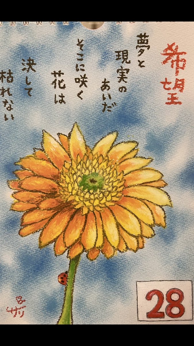 miwaan5's tweet photo. 2022.11.18🐶2歳🎂🎁
🎉Häppÿ Bïrthdäÿ*🎈🎈

ジン君🐾笑顔をありがとう
✨⸜(*ˊᗜˋ*)⸝✨💖💖💖

絵描きサリー日めくりカレンダーより🎶🌱🌼🍀 https://t.co/CnO9vt44fD