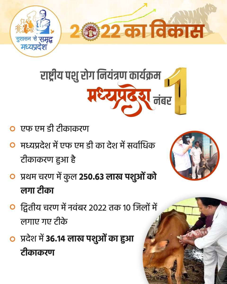 mp_husbandry's tweet photo. मध्यप्रदेश में एफ एम डी का देश में सर्वाधिक टीकाकरण हुआ है।
@MLApremsinghBJP #JansamparkMP #सुशासन_से_समृद्ध_मध्यप्रदेश https://t.co/YeXw76czMc