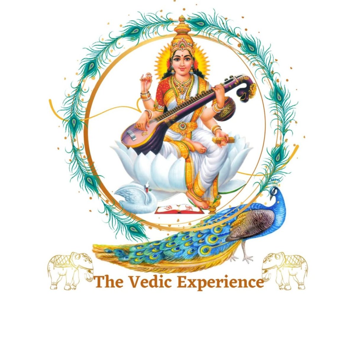 VedicExperience's tweet photo. #NewProfilePic https://t.co/SEKrikEQ7T