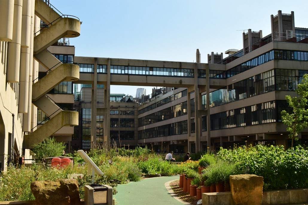 Hiwaga69's tweet photo. @hannahrosewoods Ok but that image of the Roger Stevens building is intentionally unflattering? The shot is against the light, desaturated, and crops out the lovely garden around it. https://t.co/HUPXHoYvsU