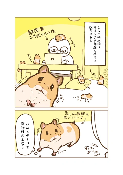 みたらしさんツイ廃説……!?
 #ハムスターのいる暮らし 