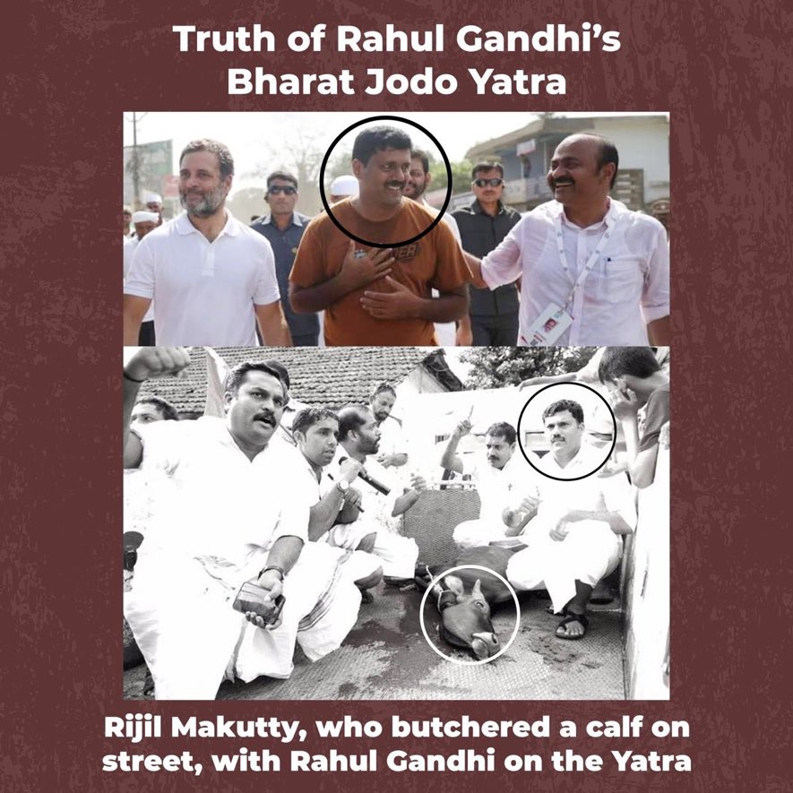 pkdnambiar's tweet photo. I call him a humanimal. He is Rijil Makkutti a Youth Congress leader.He publically butchered a cow on the street to promote eating beef for which he was given a promotion in congress. He was a part of Rahul Gandhi’s #BharatJodoYatra . Congress must walk the talk and remove him. https://t.co/s7pb5zYrV6