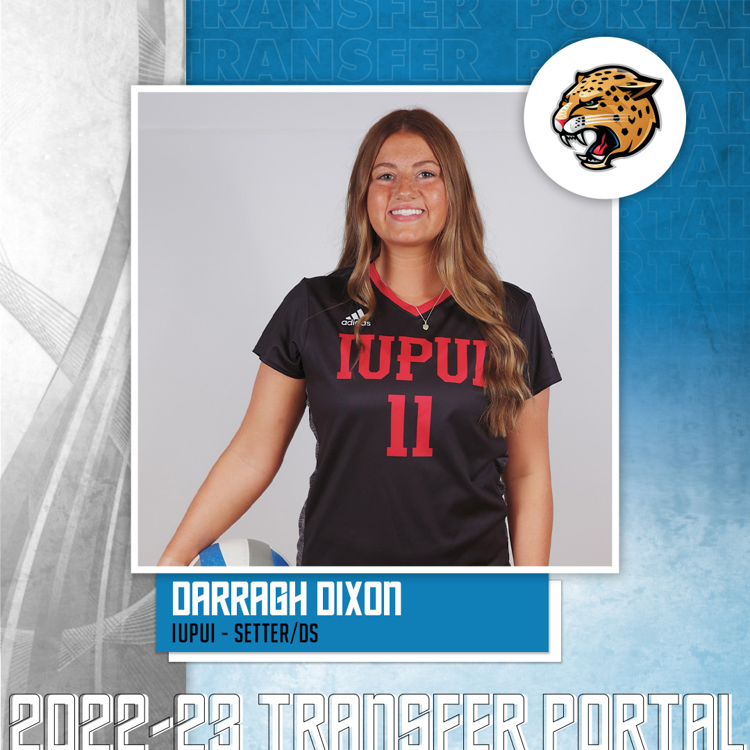 College VBall Transfers tweet media