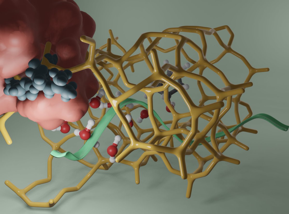 📢📢📢 Please RT: I am opening a PhD position in computational catalysis with the topic "development and application of enhanced sampling techniques to heterogeneous and/or supramolecular catalysis."