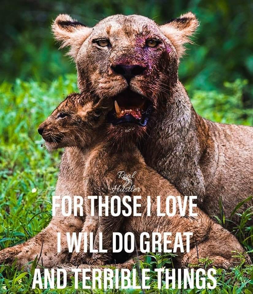 milllllllllllllllll (@twall64) on Twitter photo 