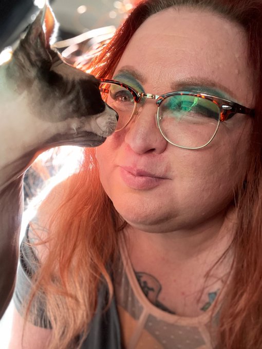 Mr. Sushi hot stuff loves being the center of attention.  #cat #sphynx https://t.co/Hg9rOlhlV9<a href="/tag/cat"class="tags"><span>#cat</span></a><a href="/tag/sphynx"class="tags"><span>#sphynx</span></a>