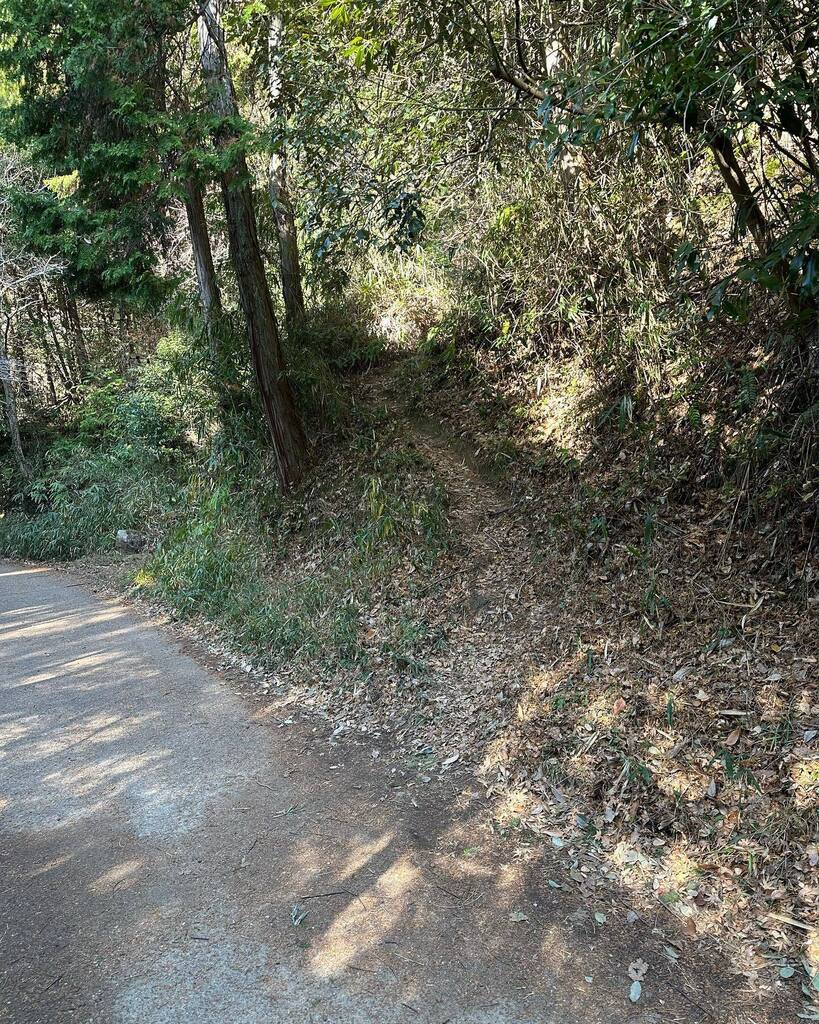 kicoriso's tweet photo. ゆるハイク大岩コースから二上山周遊  3度目の正直で麻呂子山登頂  ログ取ってたつもりが取れてなかった😭 #二上山 #大岩 #二上山雄岳 #二上山雌岳 #麻呂子山 #デイハイク### https://t.co/49621c0Xel https://t.co/ejxQPSUmCM