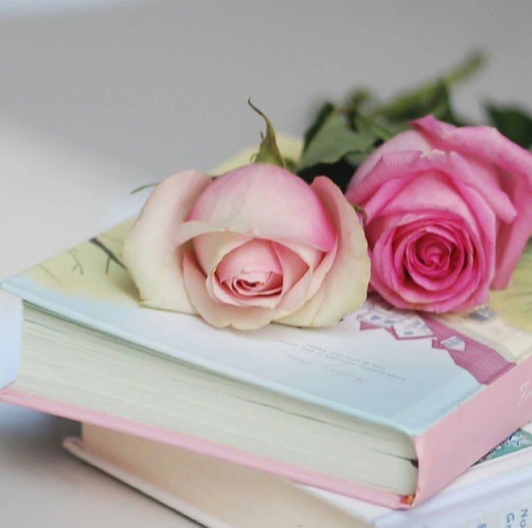 اجبروا الخواطر، وراعوا المشاعر، وانتقوا كلماتكم، وتلطفوا بأفعالكم، وتذكروا العشرة، ولا تؤلموا أحداً، وقولوا للناس حُسْناً، وعيشوا أنقياء أصفياء؛ فهذا نهج الأنبياء، وأخلاق النُّبلاء..

#ورد