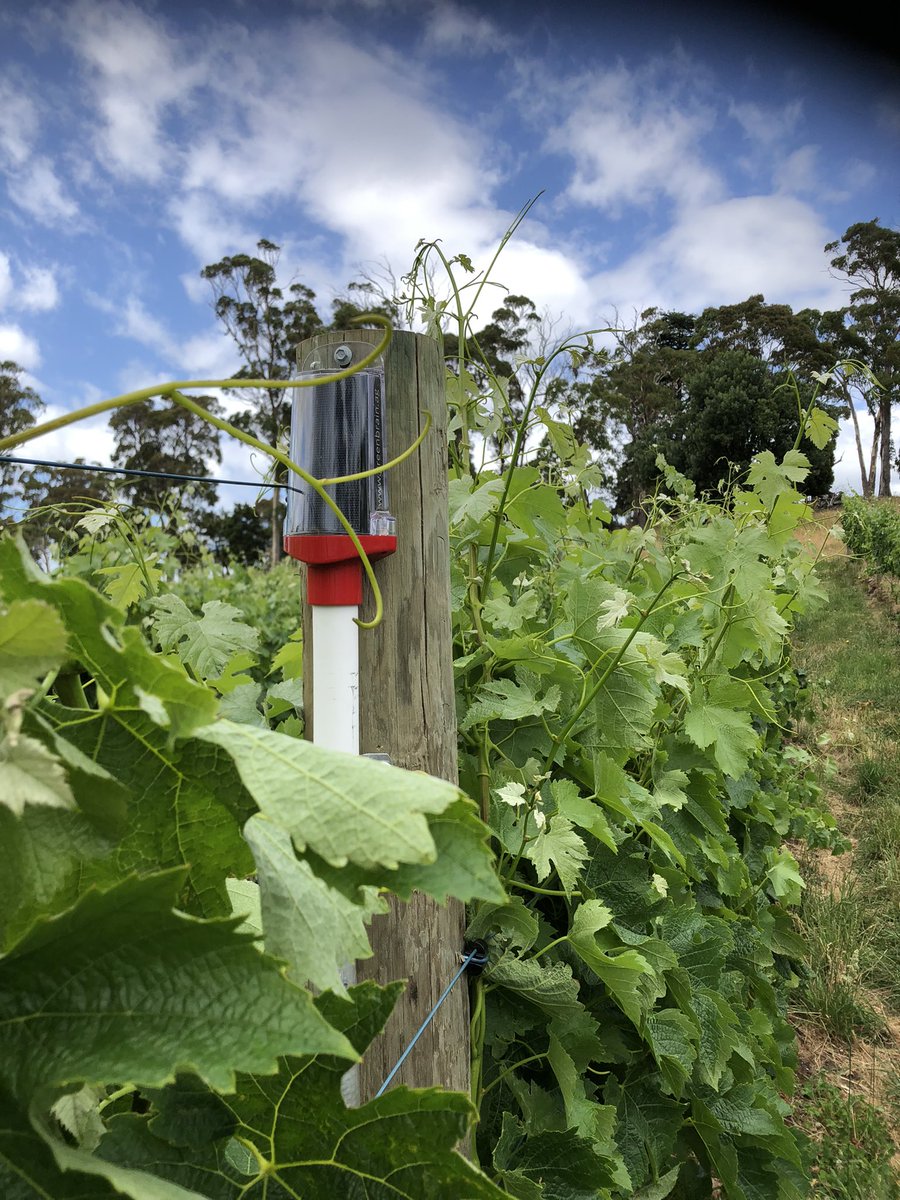 Josh Dennis tweet media