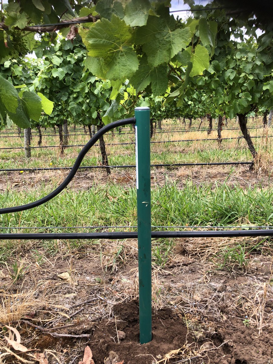 Josh Dennis tweet media