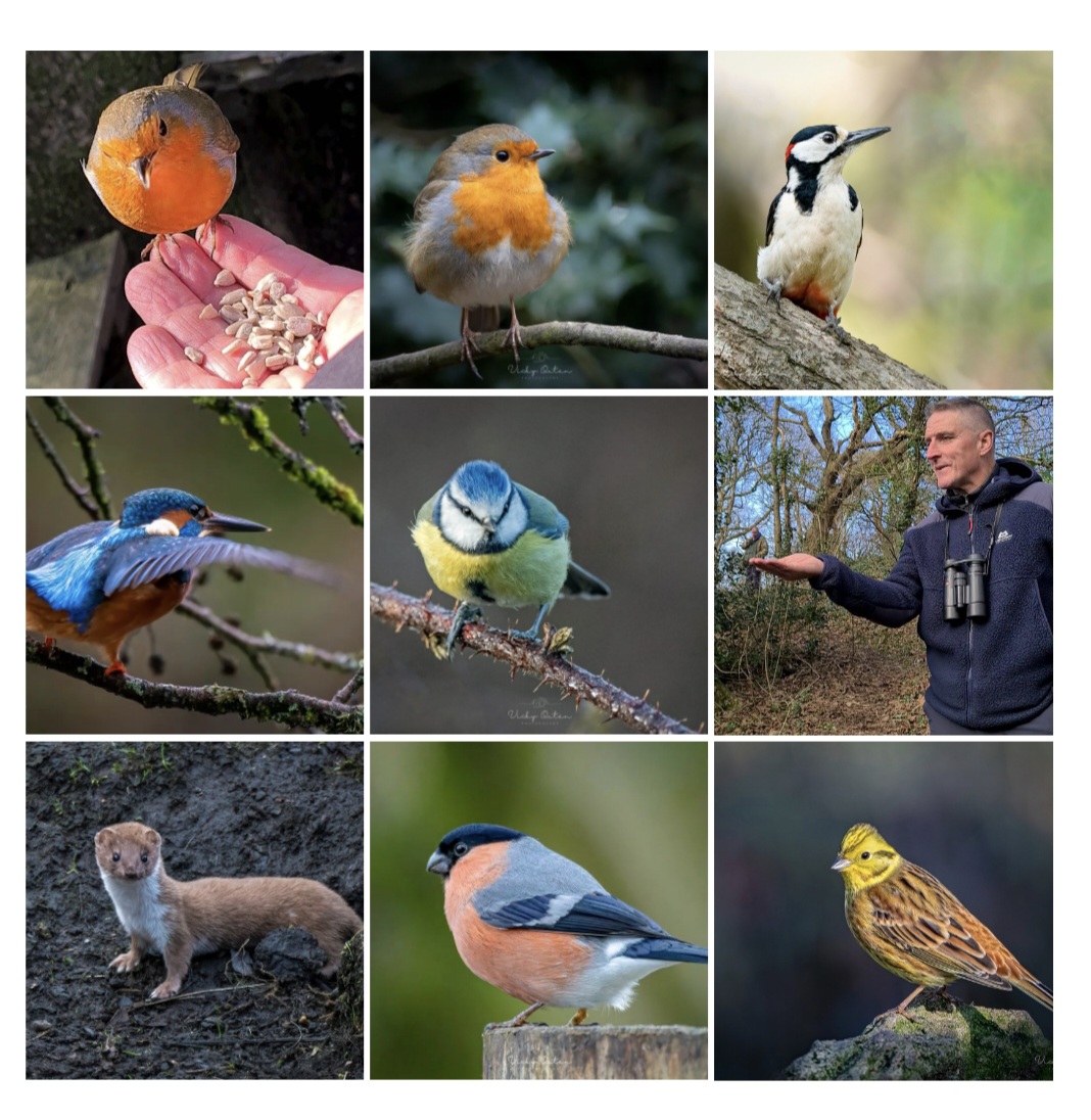 My best 9 photos &amp; video's of 2022  
The 1st &amp; 6th photo are both video's. 
Happy #memories taking these photos

#bestnine #bestof2022 #bestofnine #wildlife #BBCSpringwatch <a href="/ThePhotoHour/">#ThePhotoHour</a> <a href="/Natures_Voice/">RSPB</a> <a href="/Britnatureguide/">The British Nature Guide</a> <a href="/Team4Nature/">Team4Nature</a> <a href="/NatureUK/">NatureUK</a> 

vickyoutenphotography.com