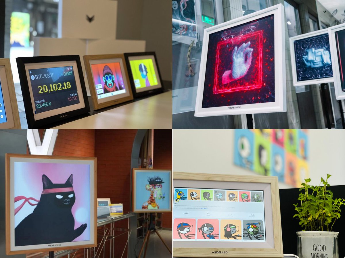 OddOwl Club🦉VIIDE tweet media