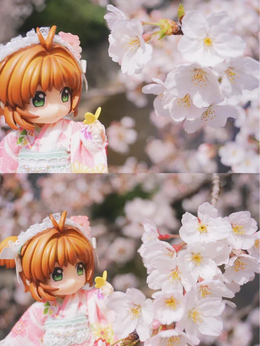 #2022年を振り返る今年好きなドール写真 
