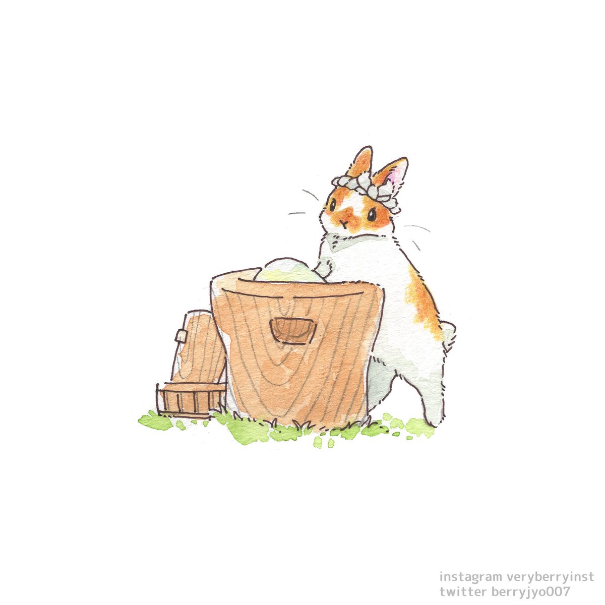 no humans animal focus white background animal simple background grass barrel  illustration images