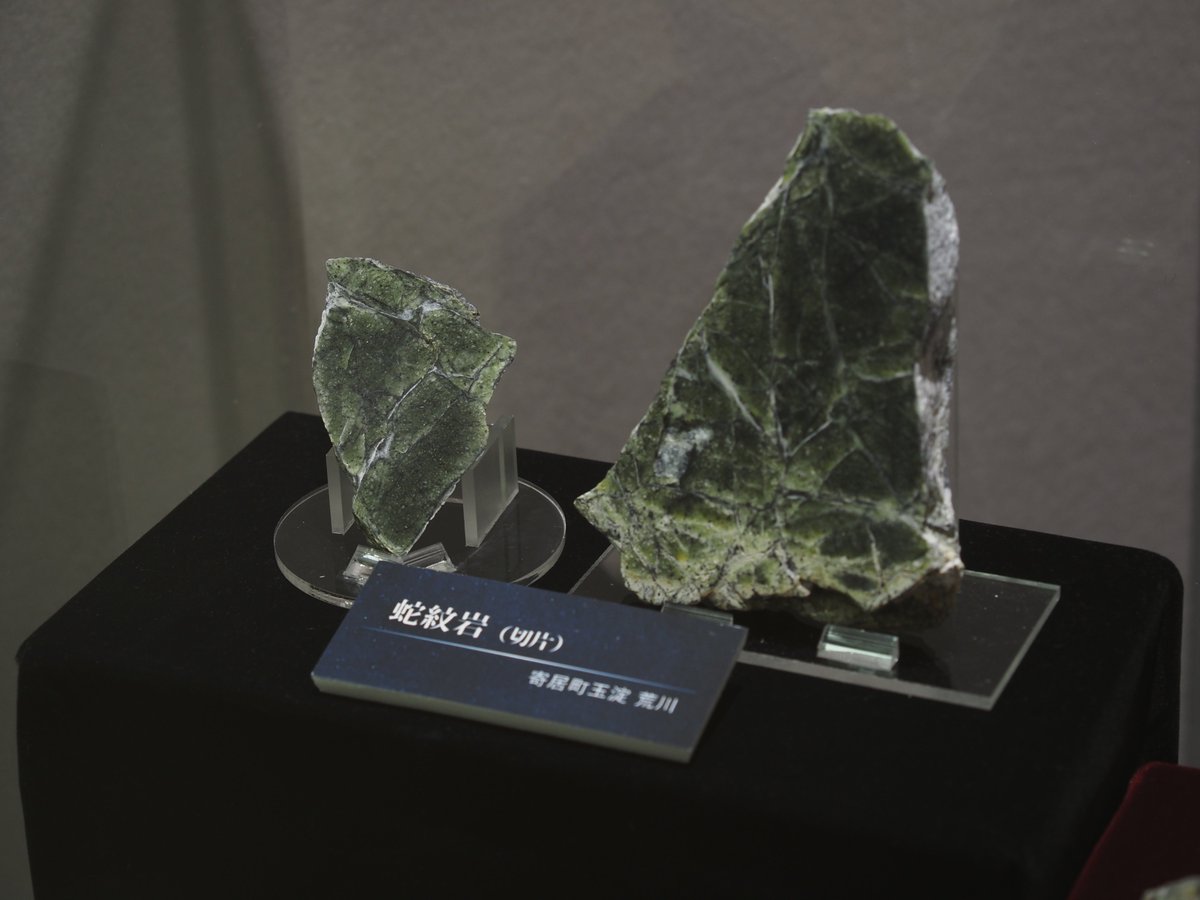 特別展「The 蛇紋岩」展示紹介】 展示室の最初の資料は、プロローグ