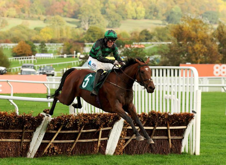 Galaxyhorseracing (@galaxyhorsera1) on Twitter photo Our Syndicate horse Seddon runs in the 1200 Leopardstown. Thanks to the team at Rockview Stables for preparing Seddon for today, especially our trainer <a href="/McConnellRacing/">John McConnell Racing</a> the best of luck to our jockey <a href="/benharvey11/">Ben Harvey</a> Our Syndicate horse Seddon runs in the 1200 Leopardstown. Thanks to the team at Rockview Stables for preparing Seddon for today, especially our trainer <a href="/McConnellRacing/">John McConnell Racing</a> the best of luck to our jockey <a href="/benharvey11/">Ben Harvey</a>