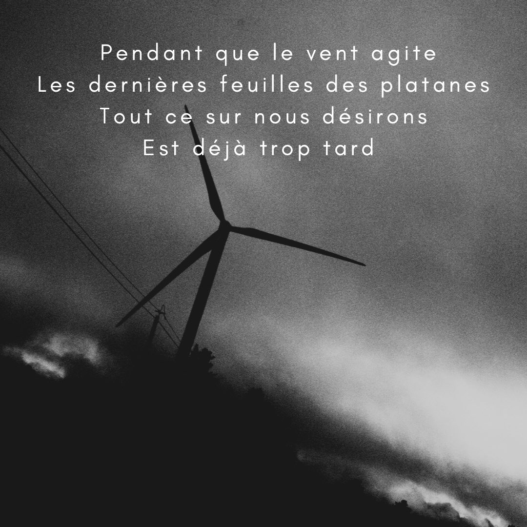 Howly_Smith's tweet photo. #poésie #poesie #poésiecontemporaine #poetry #blackandwhitephotography #poesiebeat #olympusphotography #olympusomdem10markii https://t.co/pjLD8nJUxZ