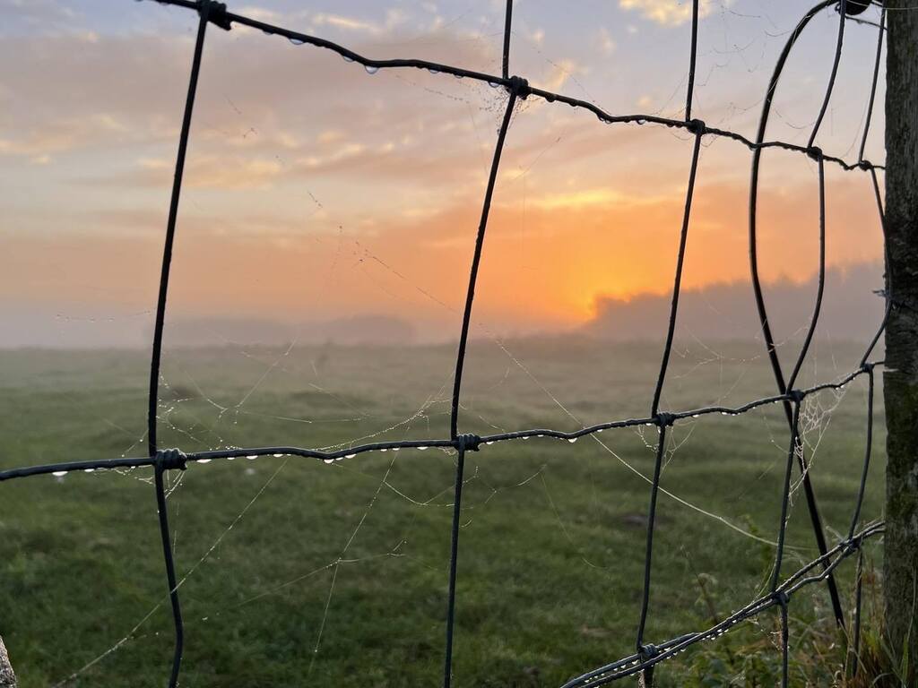 KeizerEllen's tweet photo. 12.10.2022 #balij #memories
Deze dagen met veel regen en wind verlang ik naar zulke ochtenden. #liefarchief #photobyme #shotoniphone https://t.co/BlkdImBHeL https://t.co/T3Llwl5YFh