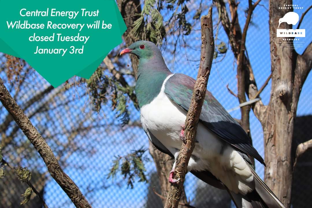 Central Energy Trust Wildbase Recovery tweet media