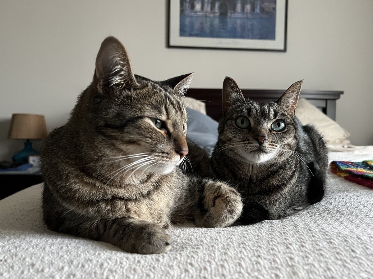 Nadyne Richmond tweet media