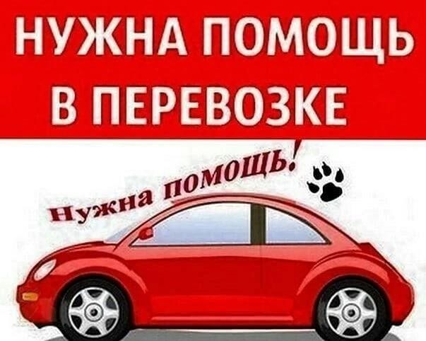 Елецкая команда tweet media
