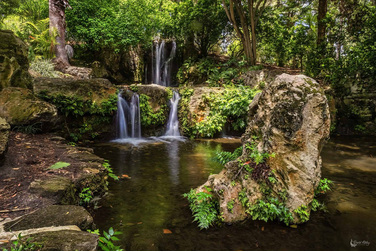 And right at our cities doorsteps #Perth...John Oldham Park.. :). <a href="/WestAustralia/">Western Australia</a> <a href="/RACWA/">RAC WA</a> <a href="/perthisok/">Perth is OK</a> <a href="/exploretoursper/">Explore Tours Perth</a> <a href="/perthlife_/">Perth Life</a> @RTPerth <a href="/Perth_Today/">Perth Today 🇦🇺</a> <a href="/perthnow/">PerthNow</a> <a href="/abcperth/">ABC Perth</a>