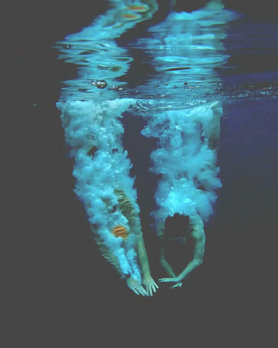 SwimTrek tweet media
