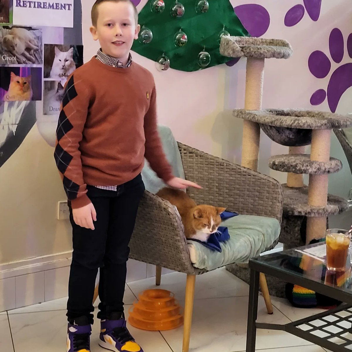 Laurawatt12's tweet photo. Purrple cat cafe 28/12/22 https://t.co/HiVrD8fdAc