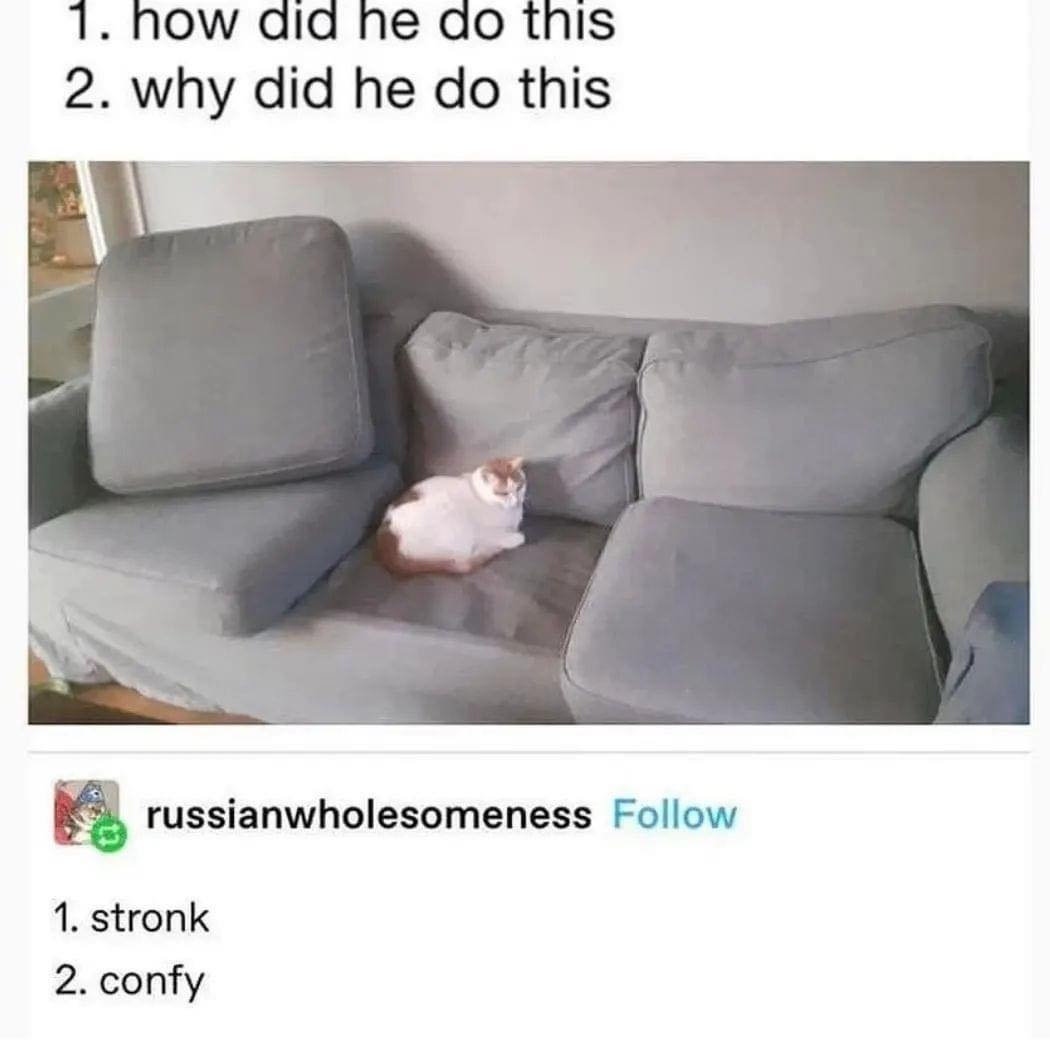 WholesomeMeme's tweet photo. https://t.co/LqfWGKm2RD