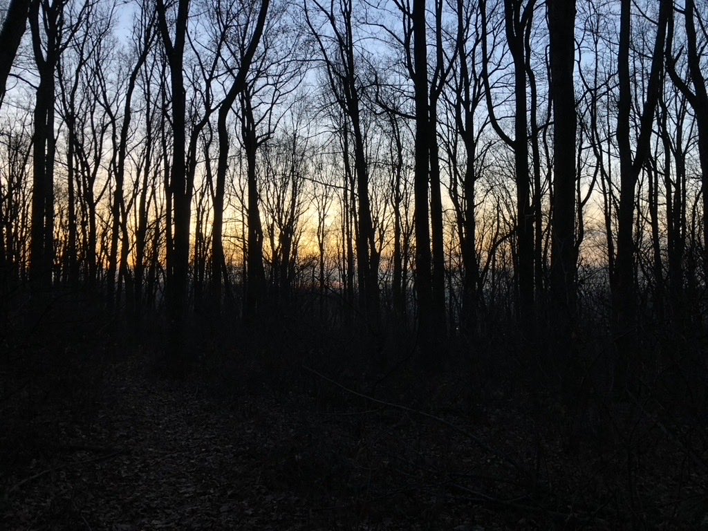 Lucy 

Jugtown Mountain Preserve

<a href="/hunterdonctynj/">Hunterdon County, NJ</a> 

#hikenj #hiking #hikingwithdogs #newjersey #saturdaymotivation