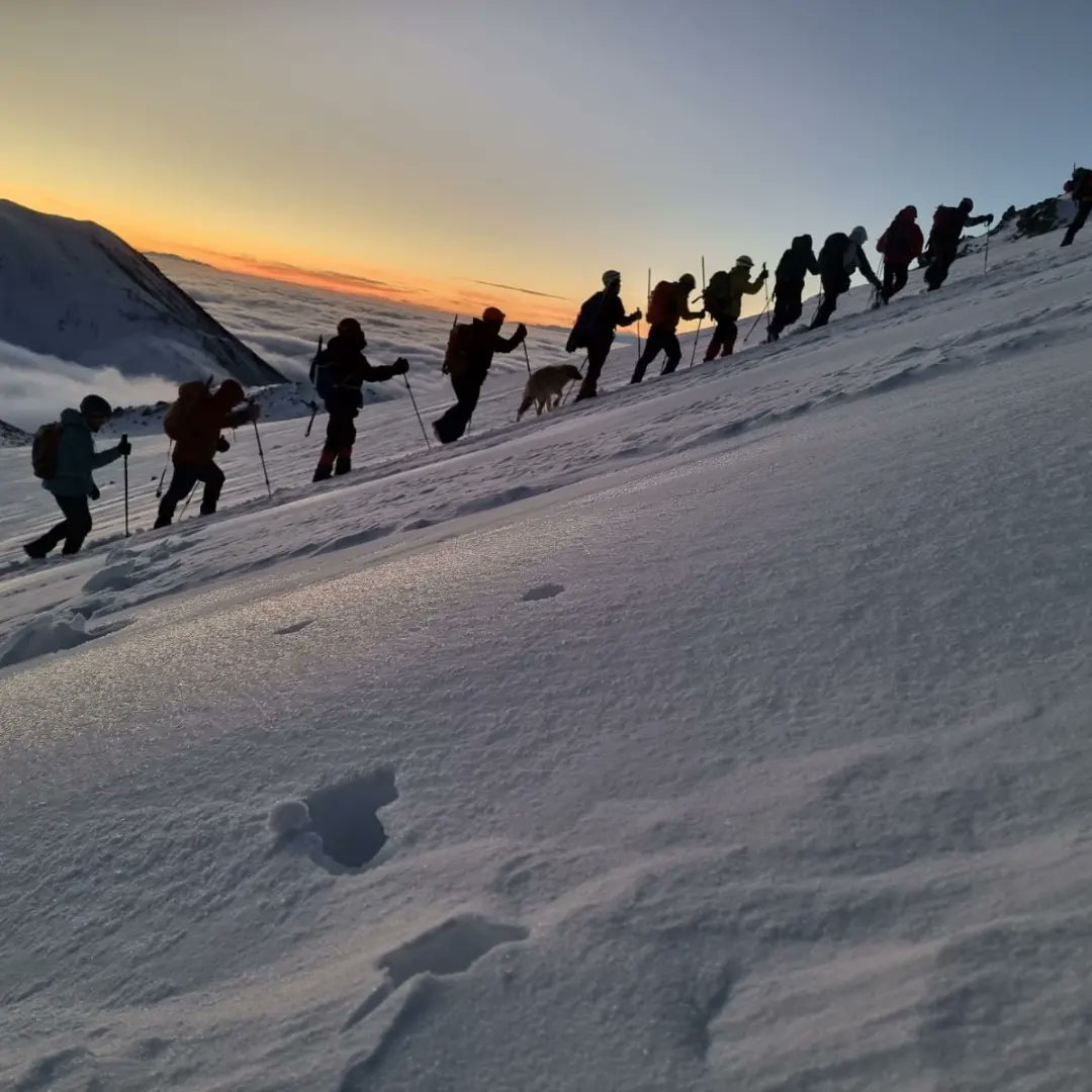 Hadi gidelim. aklı başında ağaçlar, normal çimenler ve kompleksi olmayan bulutlara bakmaya..