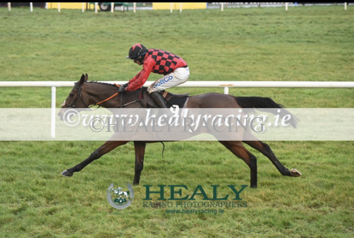 CoolmaraS's tweet photo. MASKADA wins at @LimerickRaces. Great training performance by @HenrydeBromhead and was given a peach of a ride by Sean O’Keeffe. Bought from @thorough_bid in March and she looks to be a mare going places. Let’s hope she can give us more days like this. #Maskada https://t.co/XCKTiIo2yv