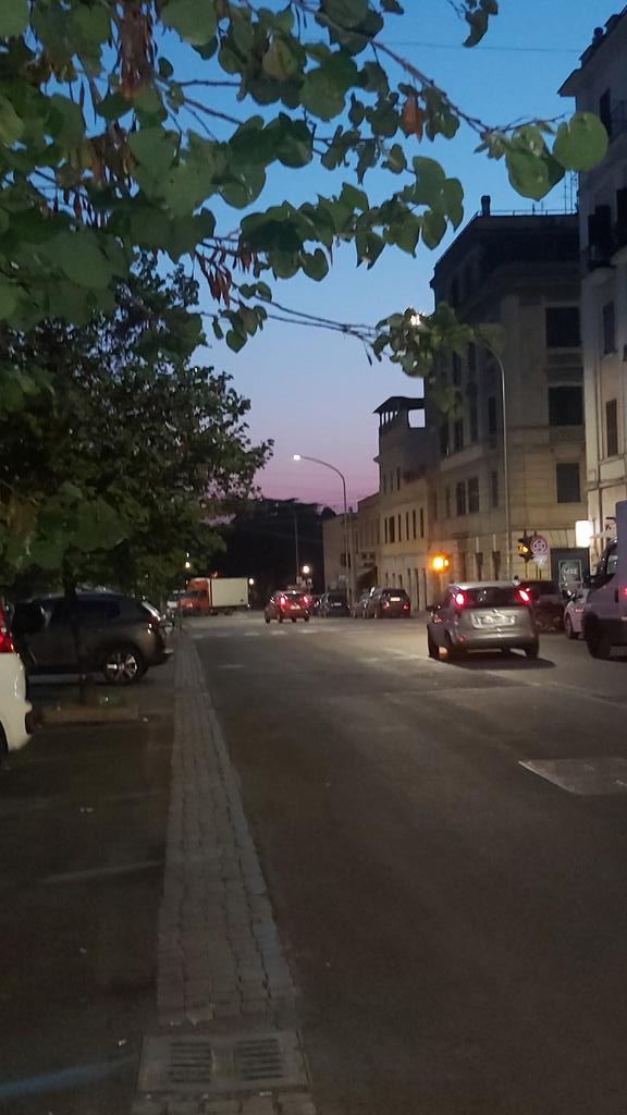 animaribelle_'s tweet image. l never knew anybody &apos;till knew you.
[Imagine Dragons]
#PinkSunrise #isANewDay