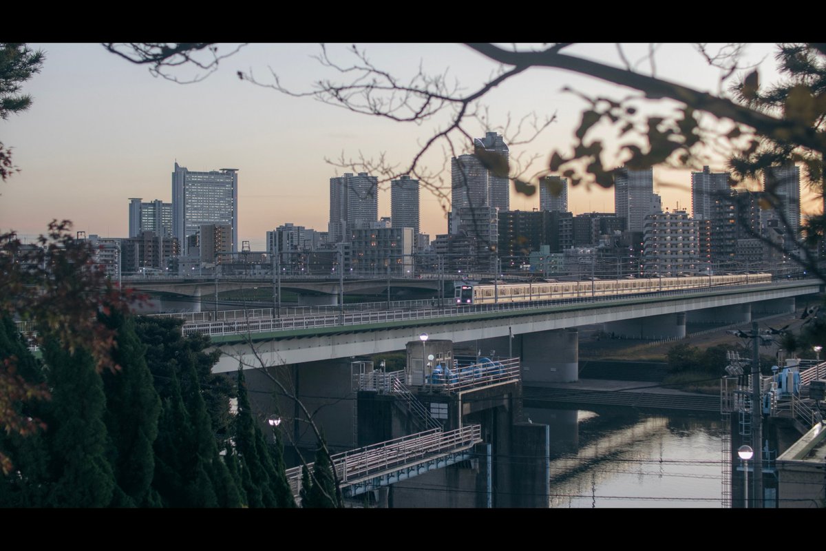 ememan6_9's tweet photo. 多摩川の公園より https://t.co/e2yOwWVQM0