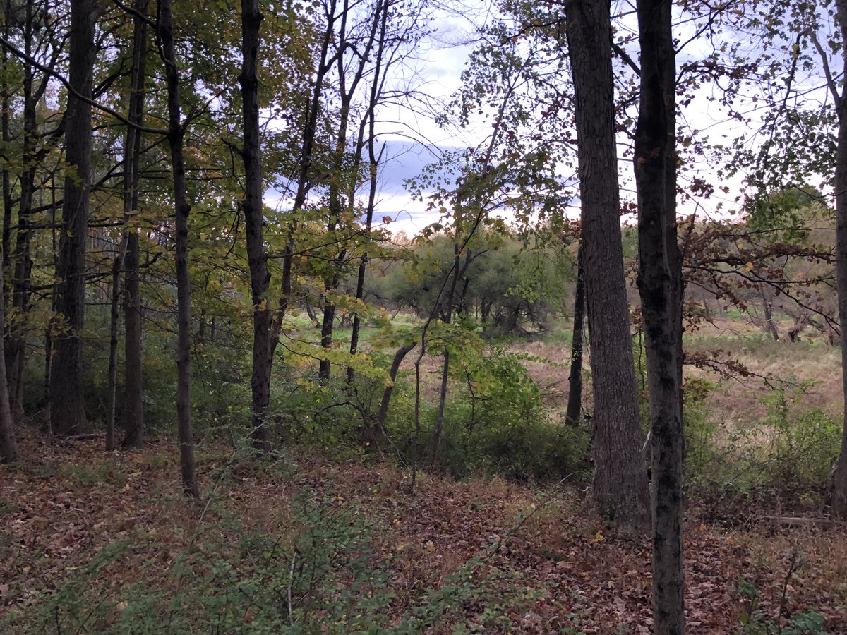 Edward Bradley (@edwardbradley) on Twitter photo 