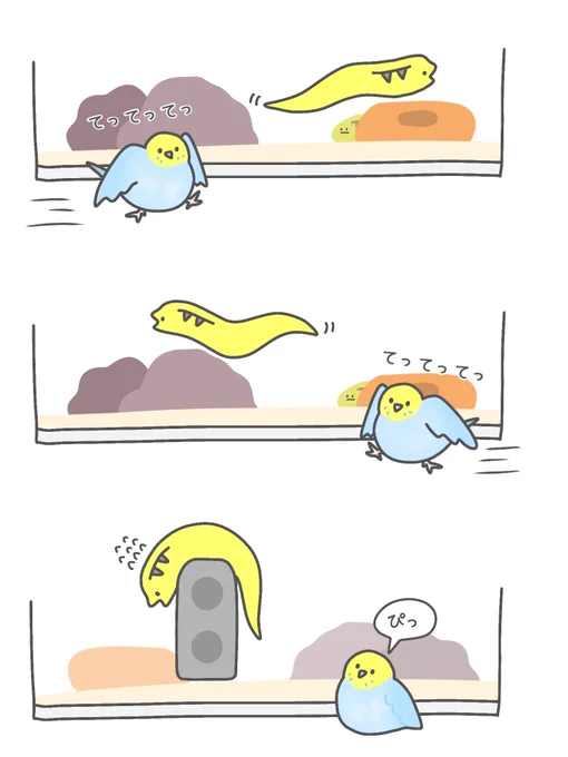 ウツボが気になるインコ 