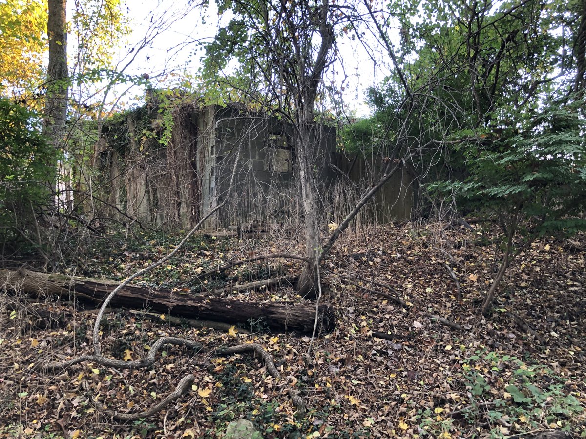 Edward Bradley (@edwardbradley) on Twitter photo 