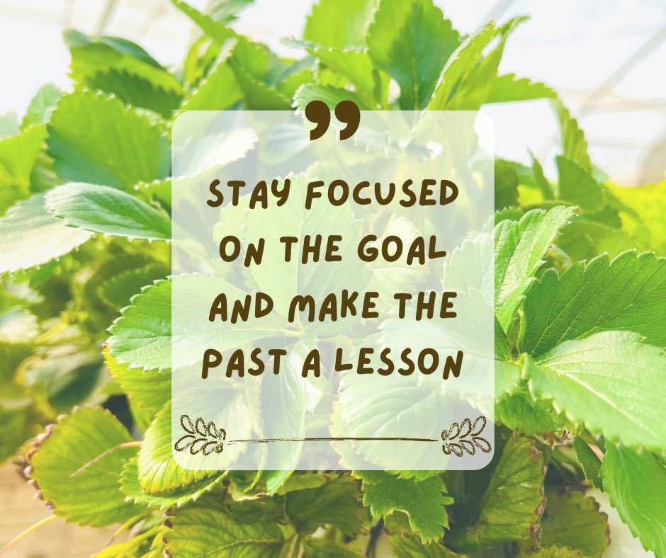 myvitagrow's tweet photo. As we are about to enter a new year we need this positive energy !!!! https://t.co/BEHbfq0h6M