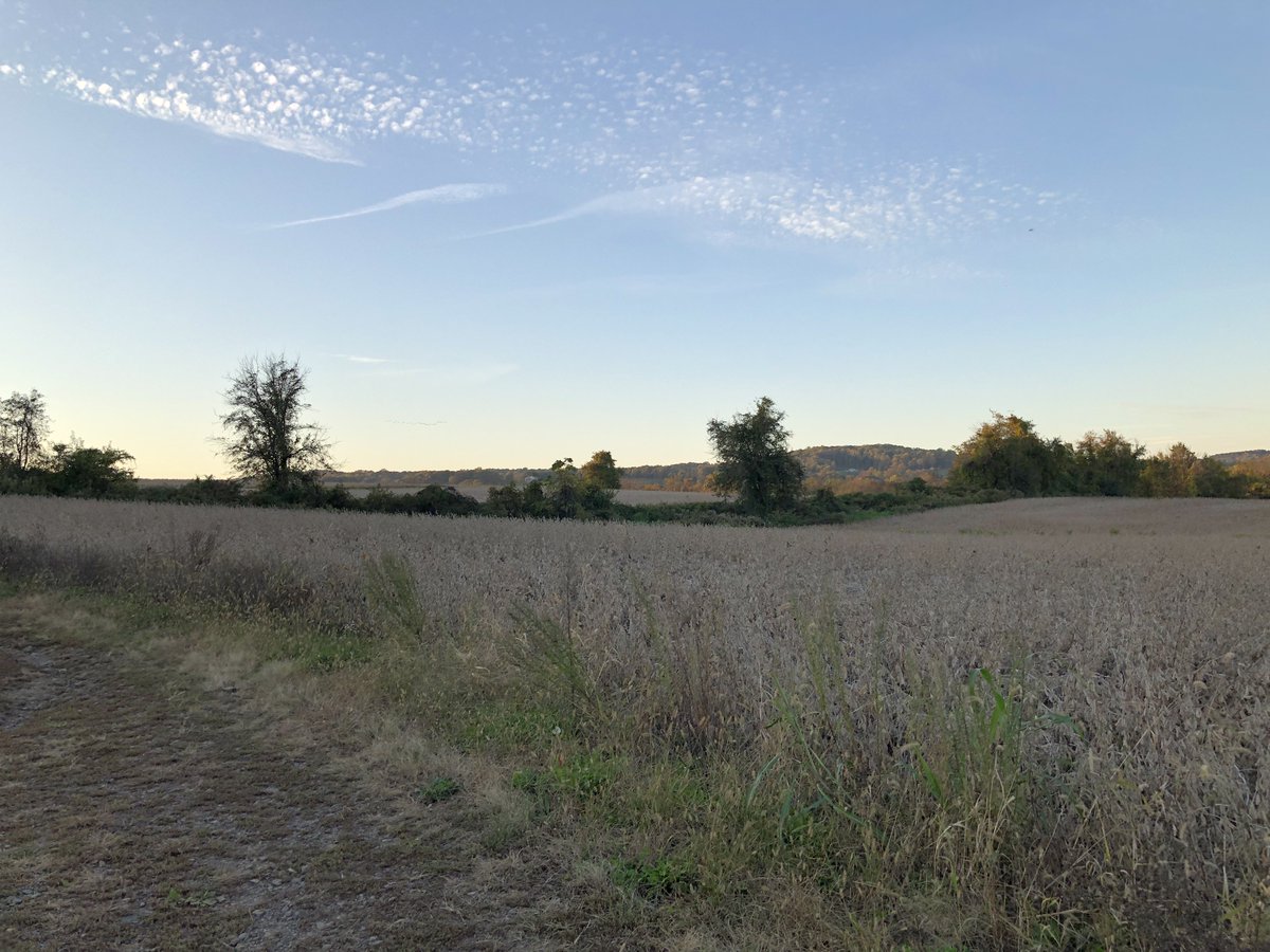 Edward Bradley (@edwardbradley) on Twitter photo 