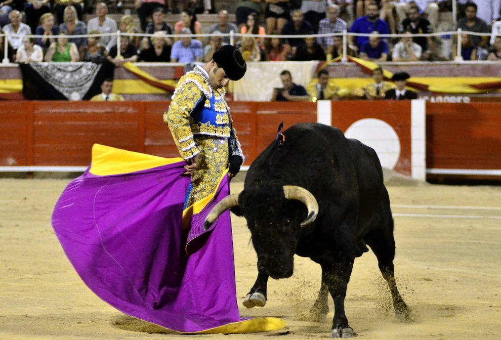 📊 ¿Cuál es tu posición respecto a la TAUROMAQUIA?

🔃 EN CONTRA
♥️ A FAVOR