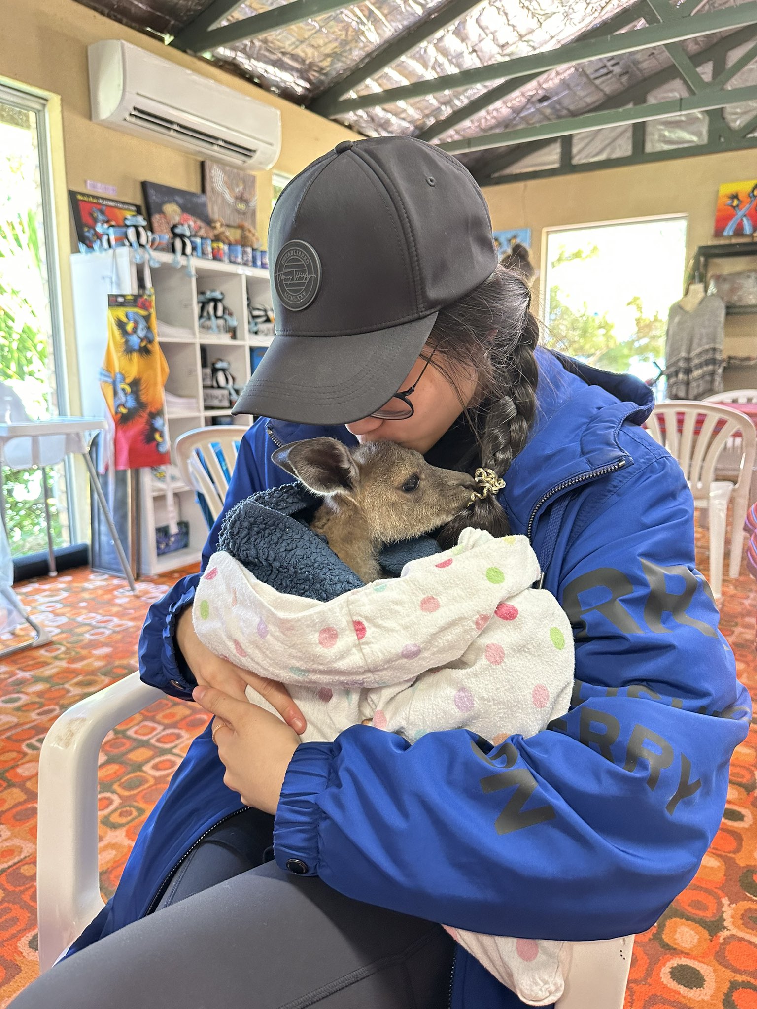 Perry on Twitter: "I cuddled a lot of cute animals today while road